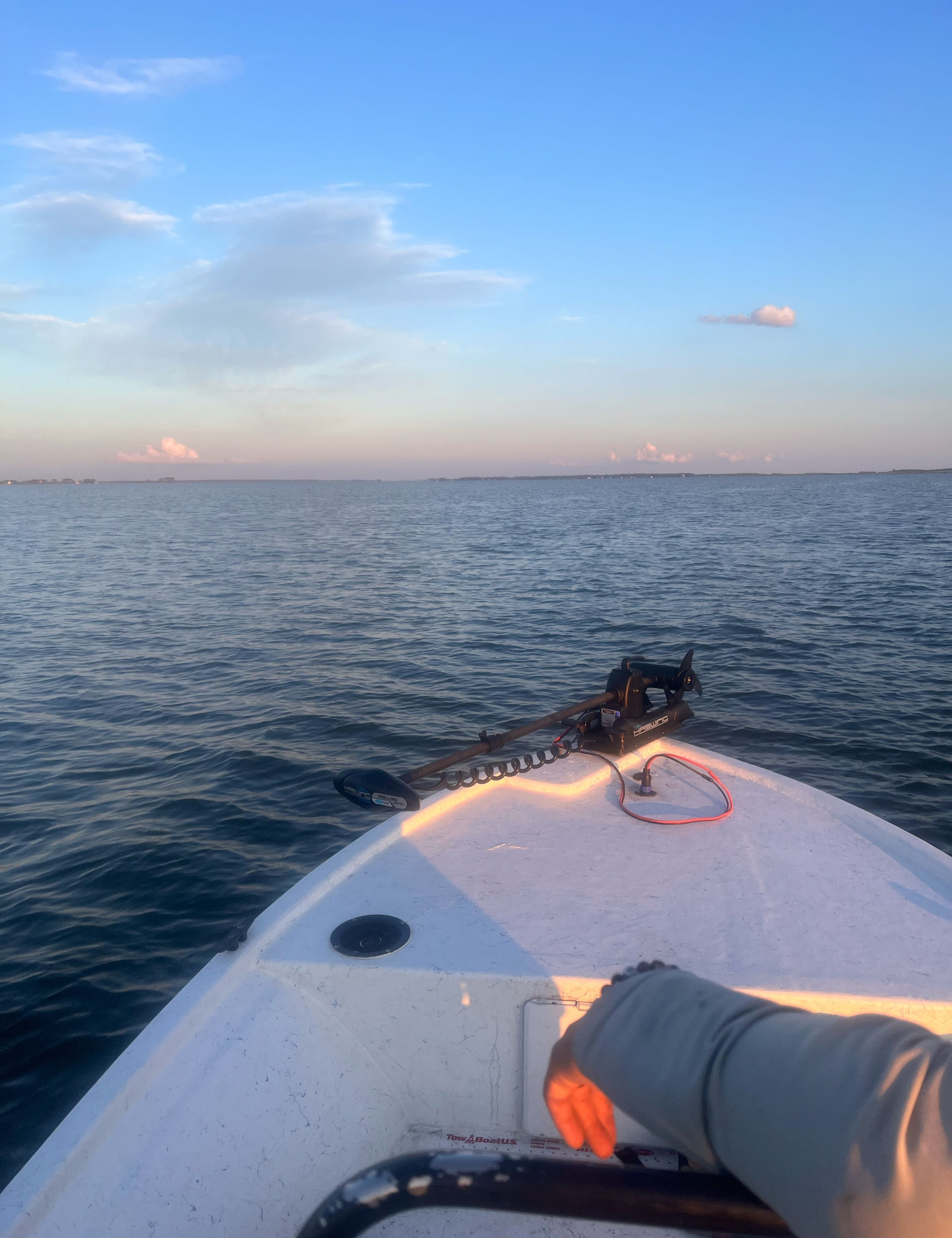 Early summer striper